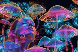 photo of mushrooms